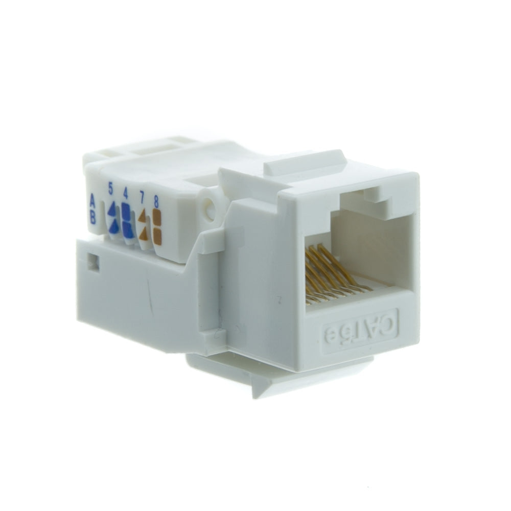 RJ45 Cat 5E jack White