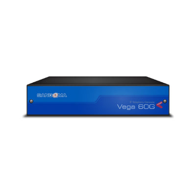 Sangoma Telecom Server VS0206