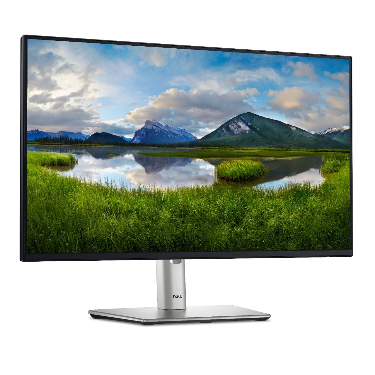 Dell P2425HE Monitor  - USB-C Hub 24-inch Monitor