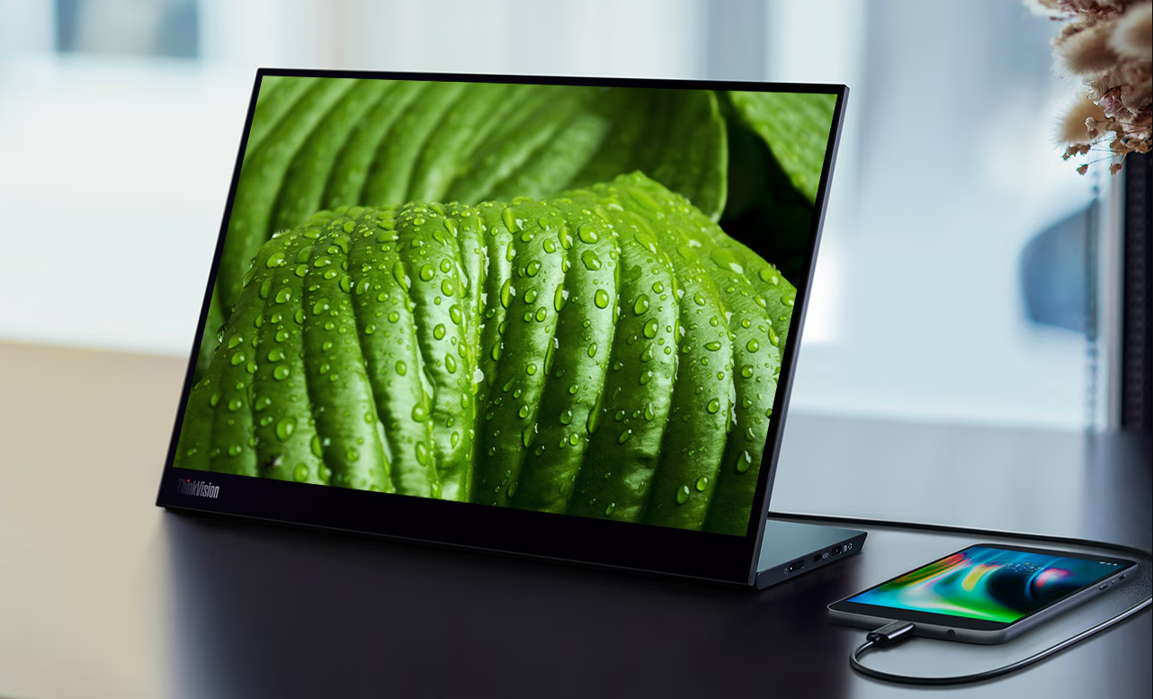 Lenovo ThinkVision M14d - USB-C Mobile/Portable Monitor