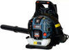 SENIX 4QL 49 cc 4-Cycle Backpack Gas Leaf Blower