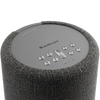Audio Pro A10 MKII Wireless Multiroom Speaker